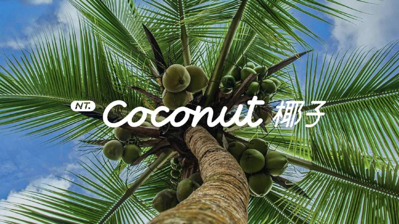 NIO Onvo svela la tecnologia del futuro Coconut