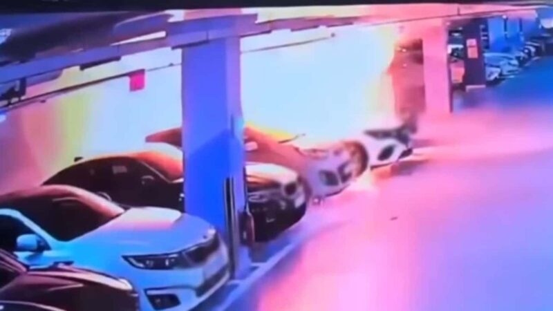 Paura di incendi delle auto elettriche in Sud Corea 1