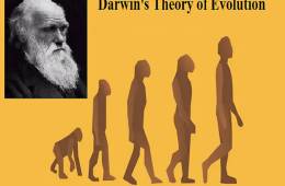 Darwins-Theory-of-Evolution