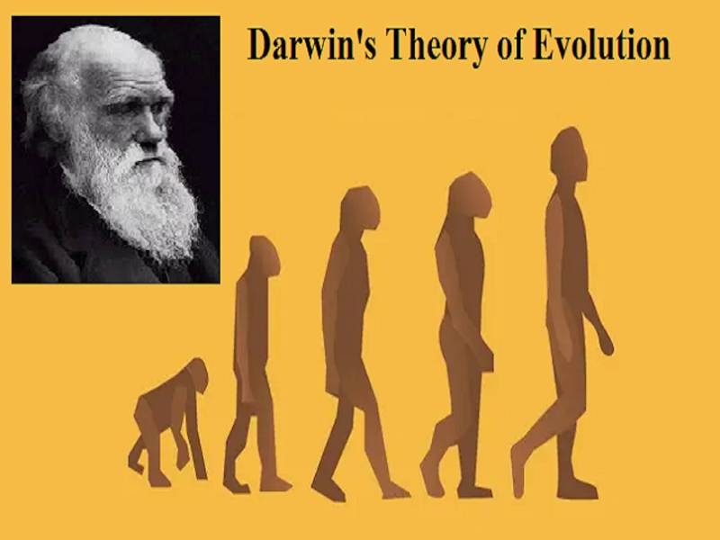 Darwins-Theory-of-Evolution