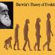 Darwins-Theory-of-Evolution