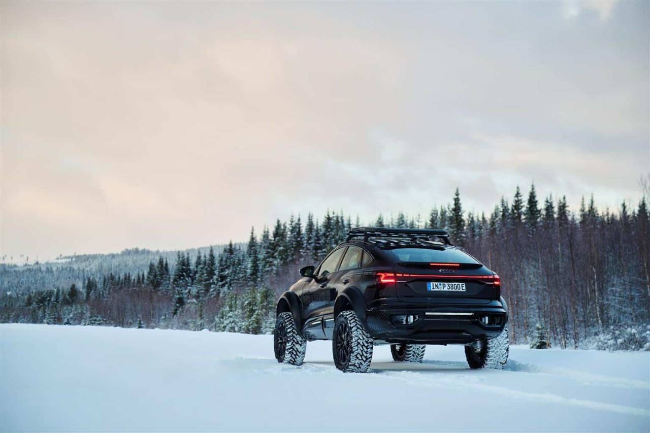 audi Q6 e-tron offroad concept